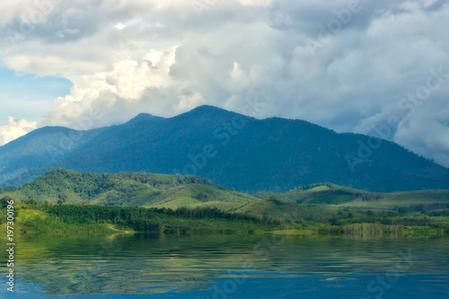 Green forest view on the Mountain.