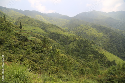 Dragon Backbone Rice Terraces in China