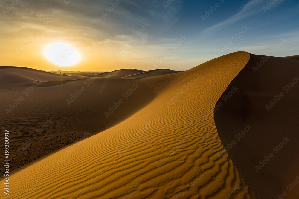 landscape in desert at sunset