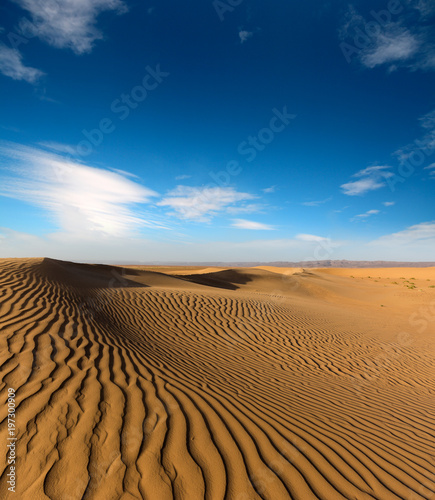 landscape in evening desert