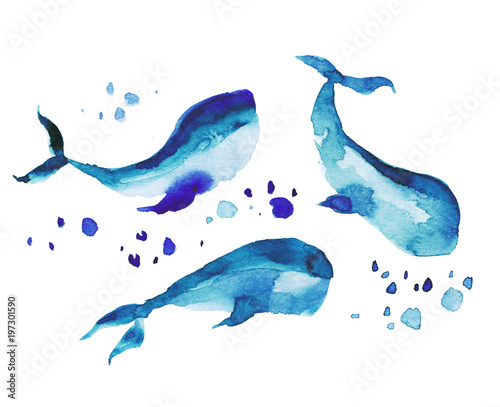Blue whales on a white background. Watercolor illustration