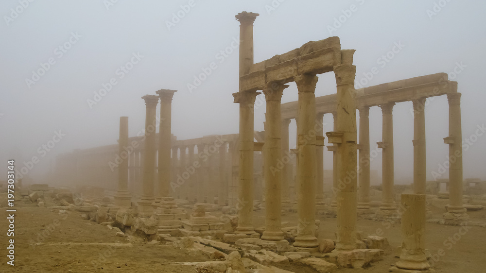 Fototapeta premium View to Palmyra columns in fog at Syria