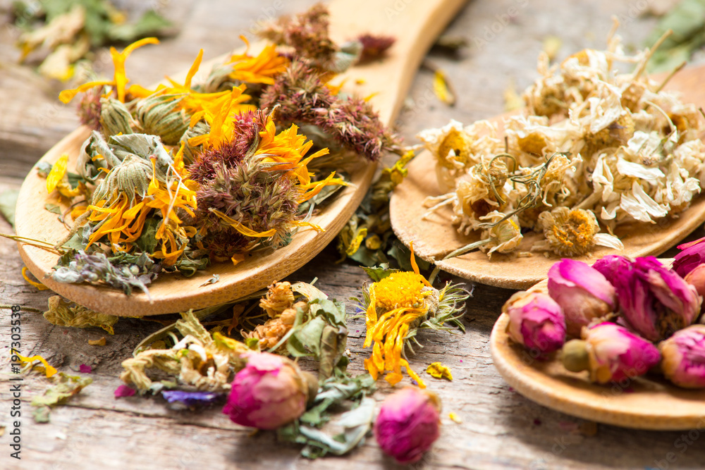Aromatic flower tea in spoon on rustic wooden background/toned photo Aromatic flower tea in spoon on rustic wooden background/toned photo