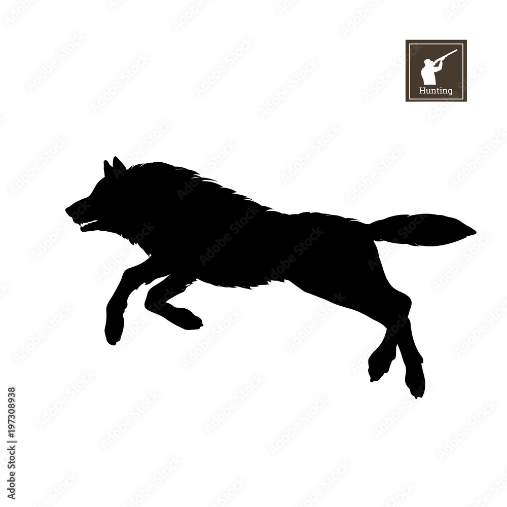 Naklejka premium Czarna sylwetka biegnącego wilka na białym tle. Zwierzęta leśne. Szczegółowy obraz na białym tle. Ilustracji wektorowych