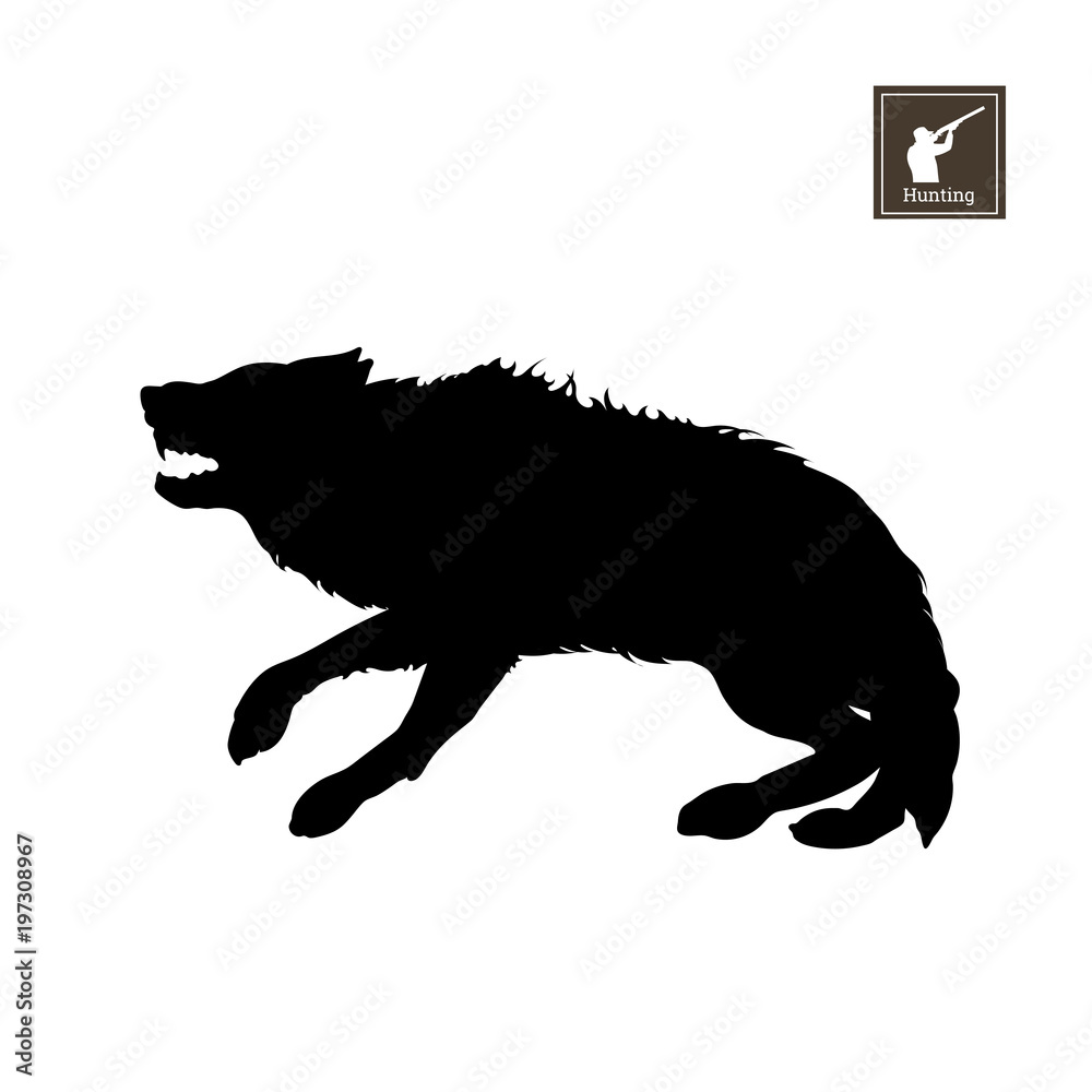 Obraz premium Black silhouette of frightened wolf on white background. Forest animals. Detailed isolated image. Vector illustration