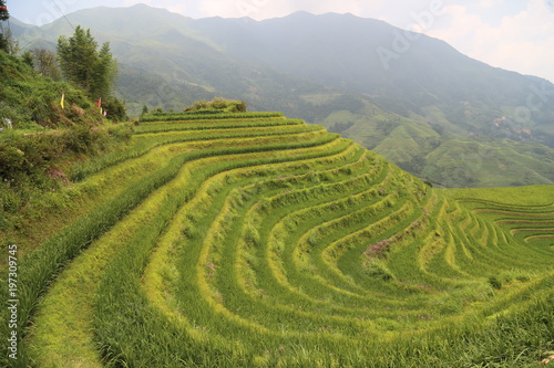 Dragon Backbone Rice Terraces in Guilin  China