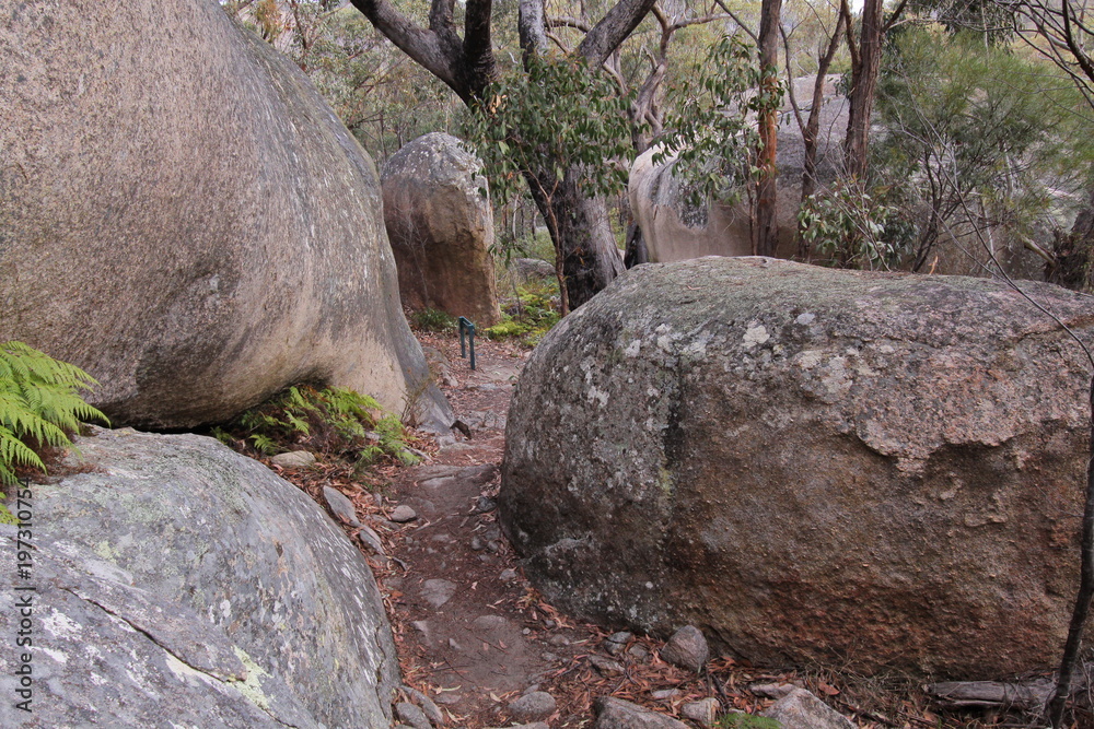 Girraween NP in New South Wales in Australia
Girraween NP in New South Wales in Australia