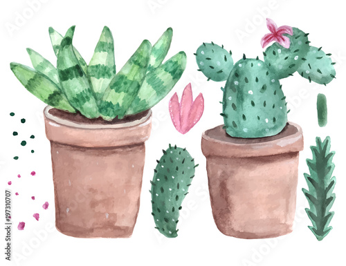 Watercolor cactus set. Bright green. Thorny plant. For print on clothes, postcard. For your design. 