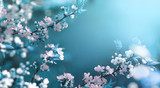 Beautiful floral spring abstract background of nature. Branches of blossoming apricot macro with soft focus on gentle light blue sky background. For easter and spring greeting cards with copy space.