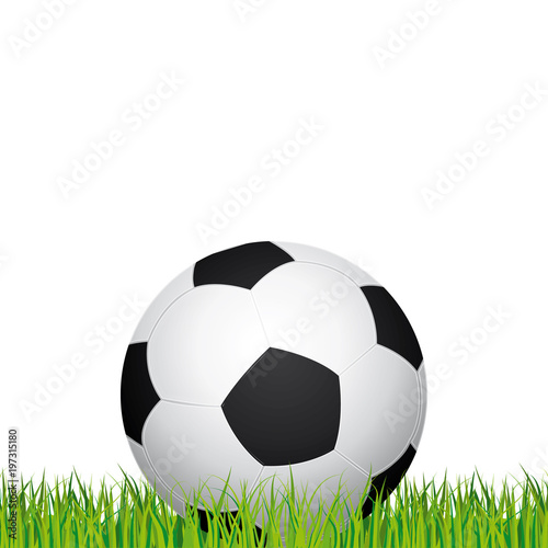Soccer ball. Football stadium grass and white background. Vector illustration. 
