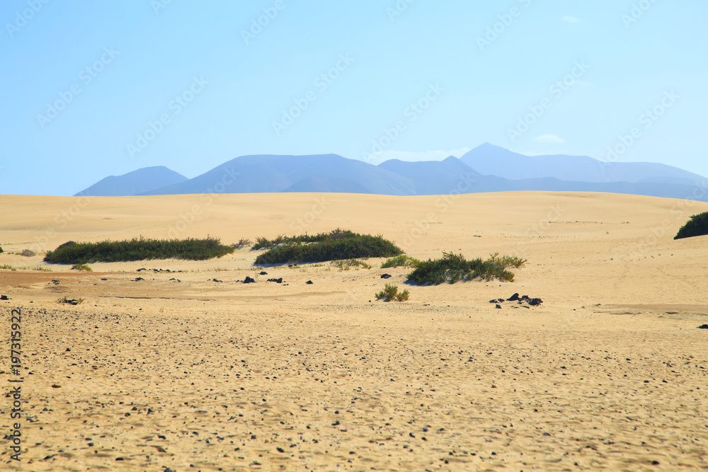 Wanderdüne El Jable in Corralejo, Fuerteventura Wanderdüne El Jable in Corralejo, Fuerteventura