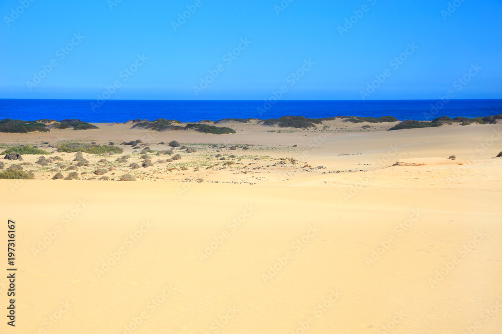 Dünen El Jable und Grandes Playas in Corralejo, Fuerteventura