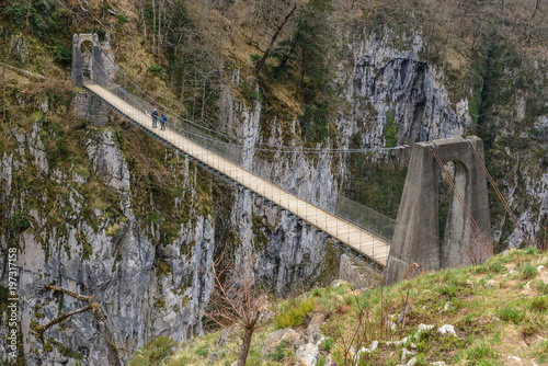 Holtzarte suspension bridge, Aquitaine, France photo