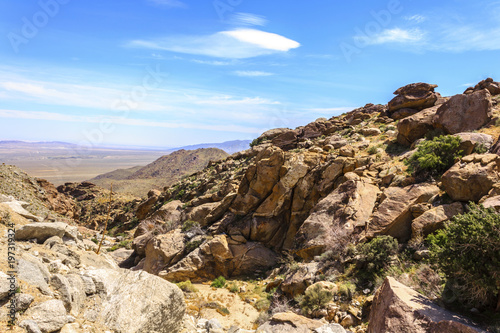 Anza Borrego Desert State Park in California, USA. © InnaPoka