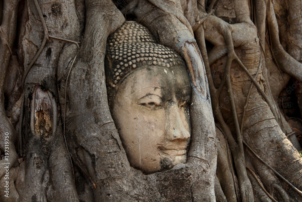 Beautiful Ayutthaya temples in Thailand.