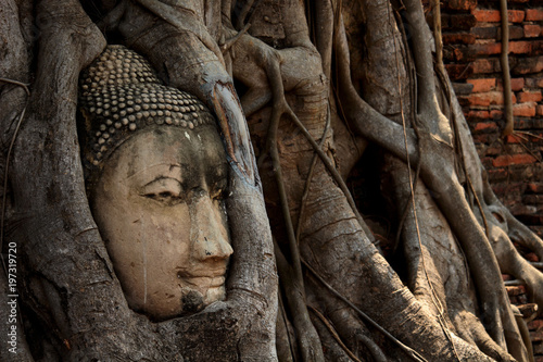 Beautiful Ayutthaya temples in Thailand.