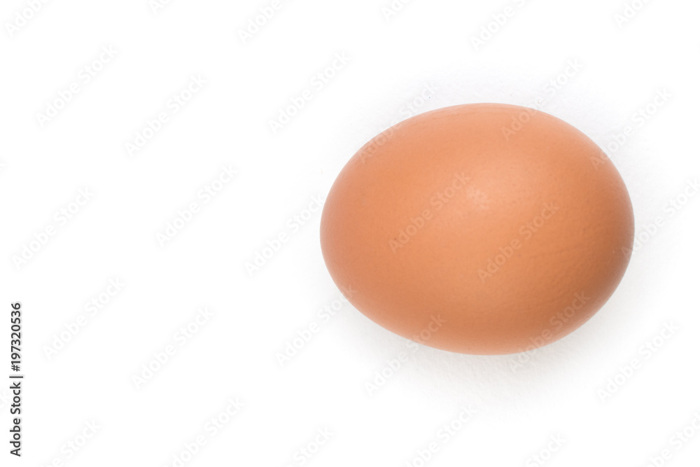 Single brown chicken egg isolated on white. Top view Single brown chicken egg isolated on white. Top view