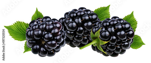 Fresh blackberry with leaf isolated on white background with clipping path
