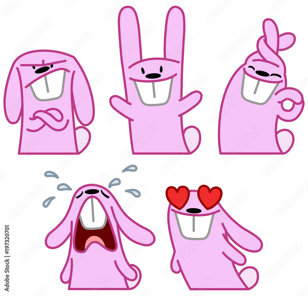 Pink rabbit set Pink rabbit set