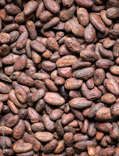Cocoa beans texture