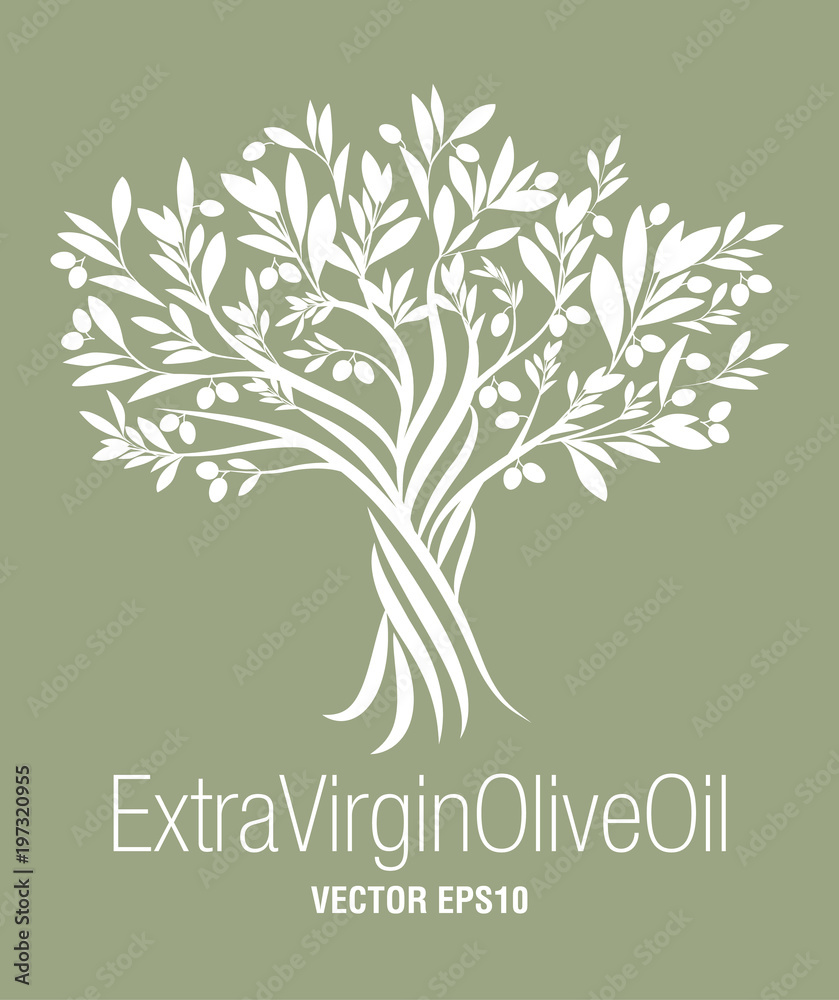 Naklejka premium Drzewo oliwne. Symbol oliwy z oliwek z pierwszego tłoczenia. Symbol kultury i kuchni śródziemnomorskiej.