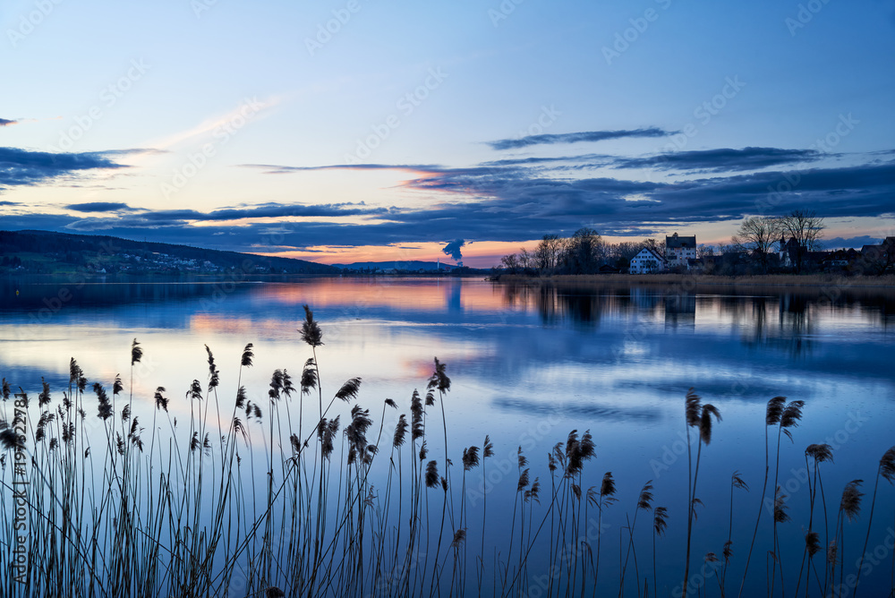 Greifensee Abenddämmerung Abendrot Abendhimmel blaue Stunde Wolken Wasserspiegelungen Schilf Seeufer - obrazy, fototapety, plakaty 