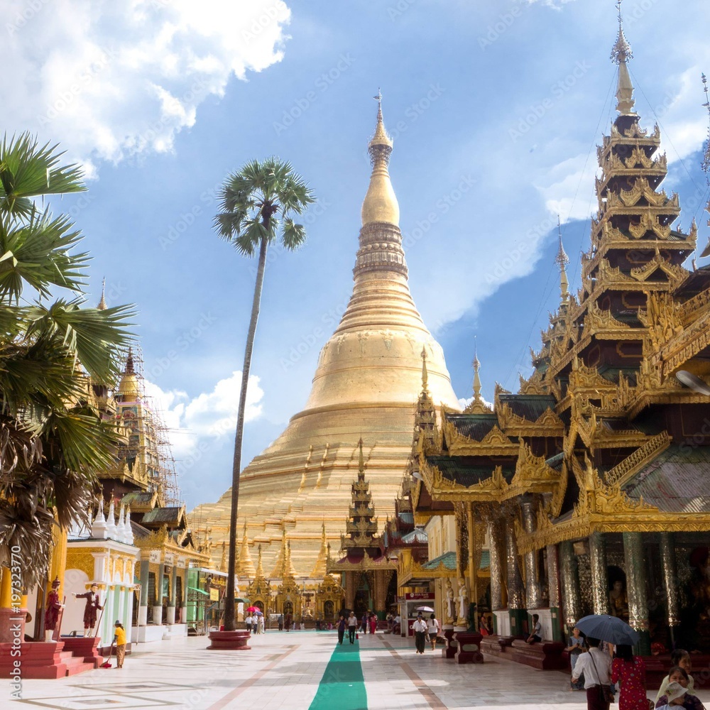 Fototapeta premium Grüner Teppich zum Shwedagon