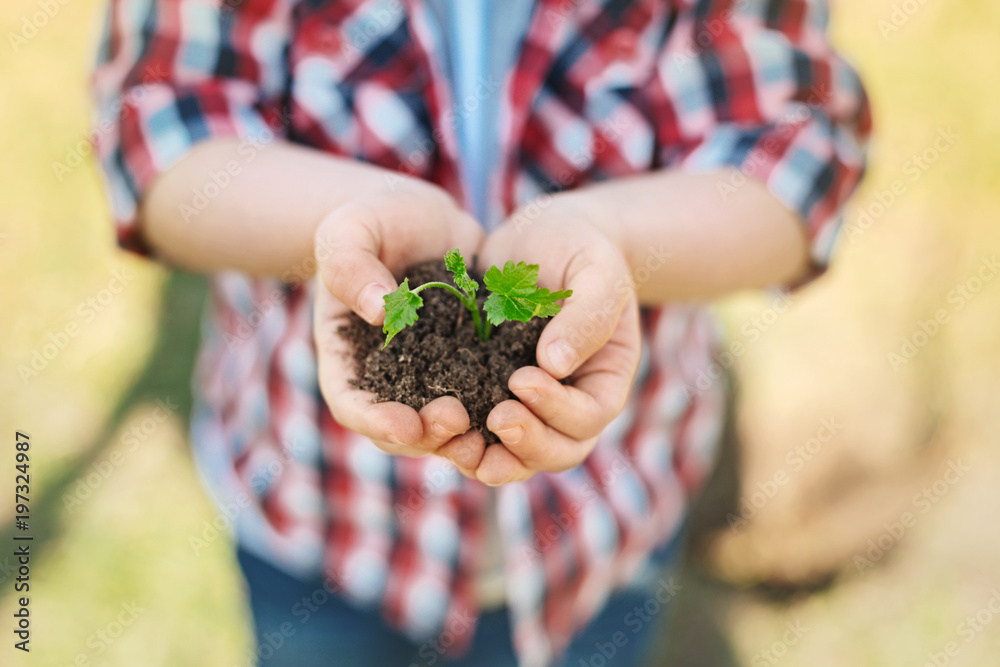 Caring hands. Close up of a pleasant boy holding handful of soil while expressing love for nature