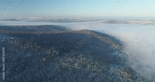 Wallpaper Mural Aerial shot along the forest among the Carpathian Mountains in winter 4K Torontodigital.ca