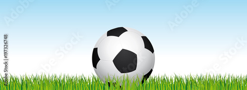 Soccer banner. Football stadium grass and blue sky background. Vector header with soccer ball in the middle.