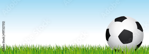 Soccer banner. Football stadium grass and blue sky background. Vector header with soccer ball on the right side. 