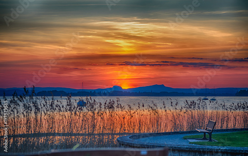 Tiefstehende Sonne am Untersee mit Schilf