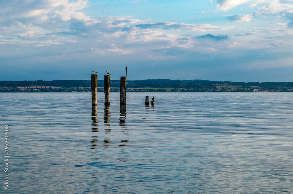 poles in lake constance with birds sitting on it