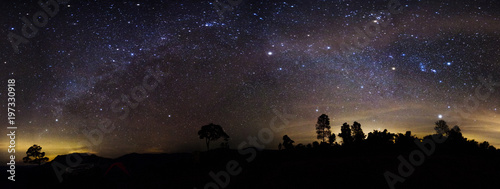 Milky way panorama over the forest.