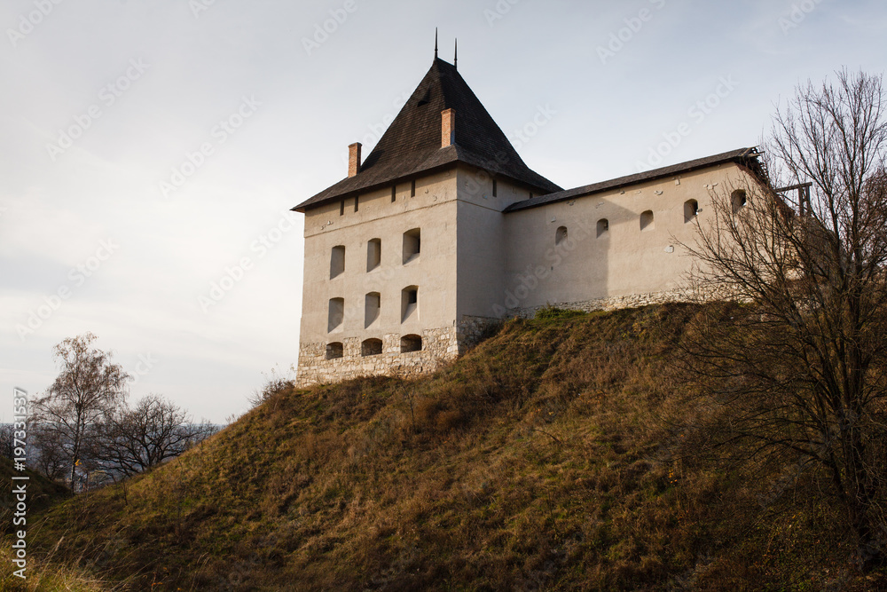 The ruins of the castle