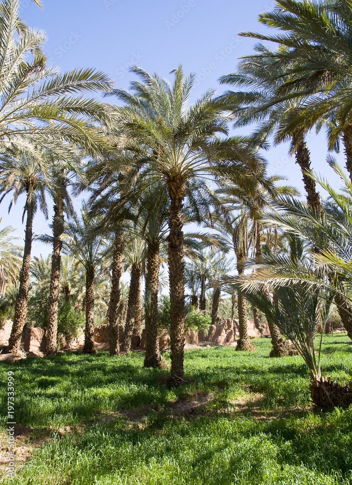 Obraz premium Maroko