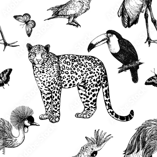 Seamless pattern of hand drawn sketch style leopard, exotic birds and butterfly isolated on white background. Vector illustration.