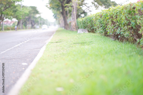 Wayside view of road in the morning