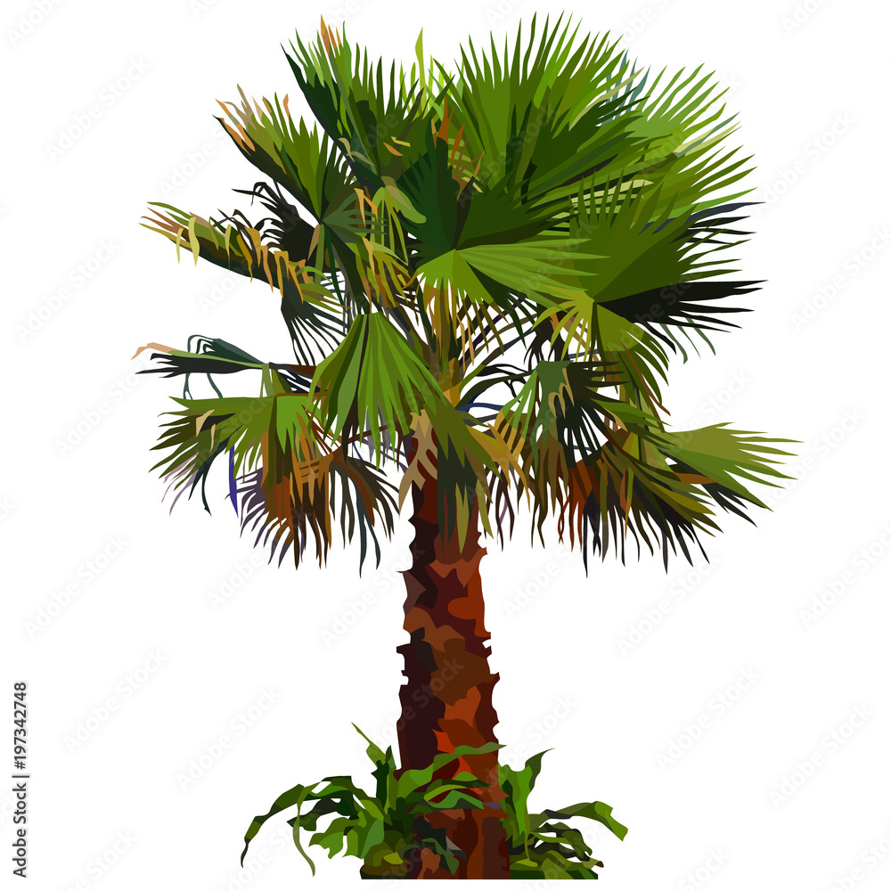 Naklejka premium painted fluffy palm tree with grass bushes at the base