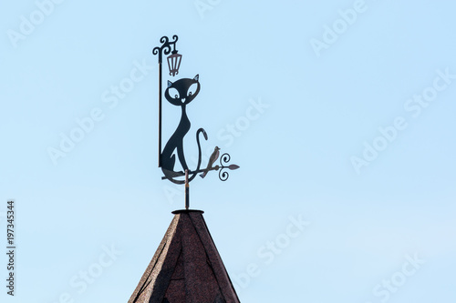 The weather vane of a black cat on the roof