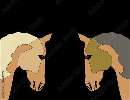 Cute silhouette muzzle purebred Arabian horses in brown