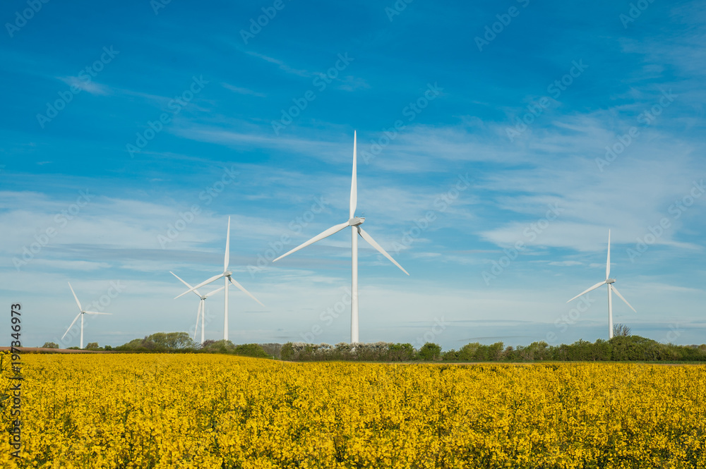 Wind Farm Wind Farm