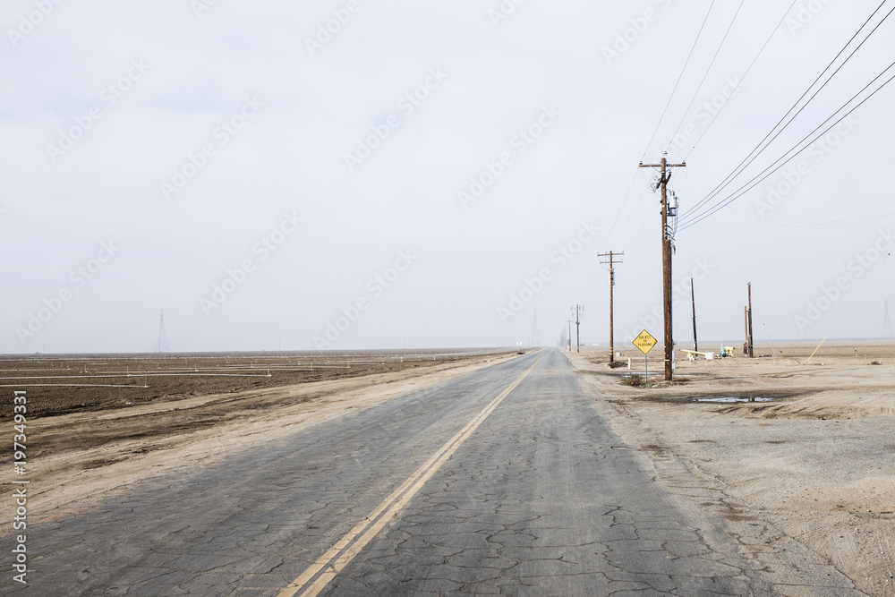 Fototapeta premium Strasse über Felder in Amerika 