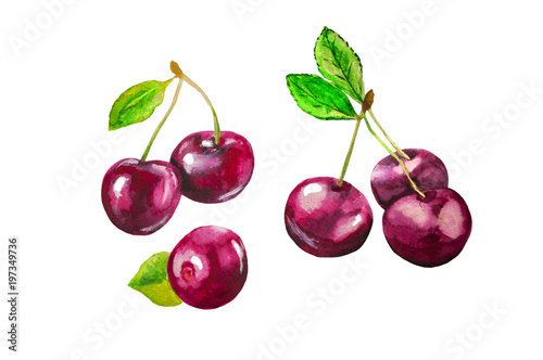 watercolor berry cherry 