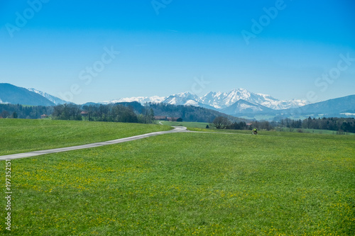 Green meadow in the alps on a sunny day