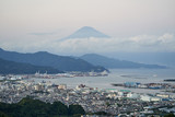 日本平の富士