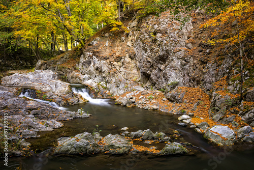 Fall scenery inside a forest in Romania with mountain creek and small waterfalls