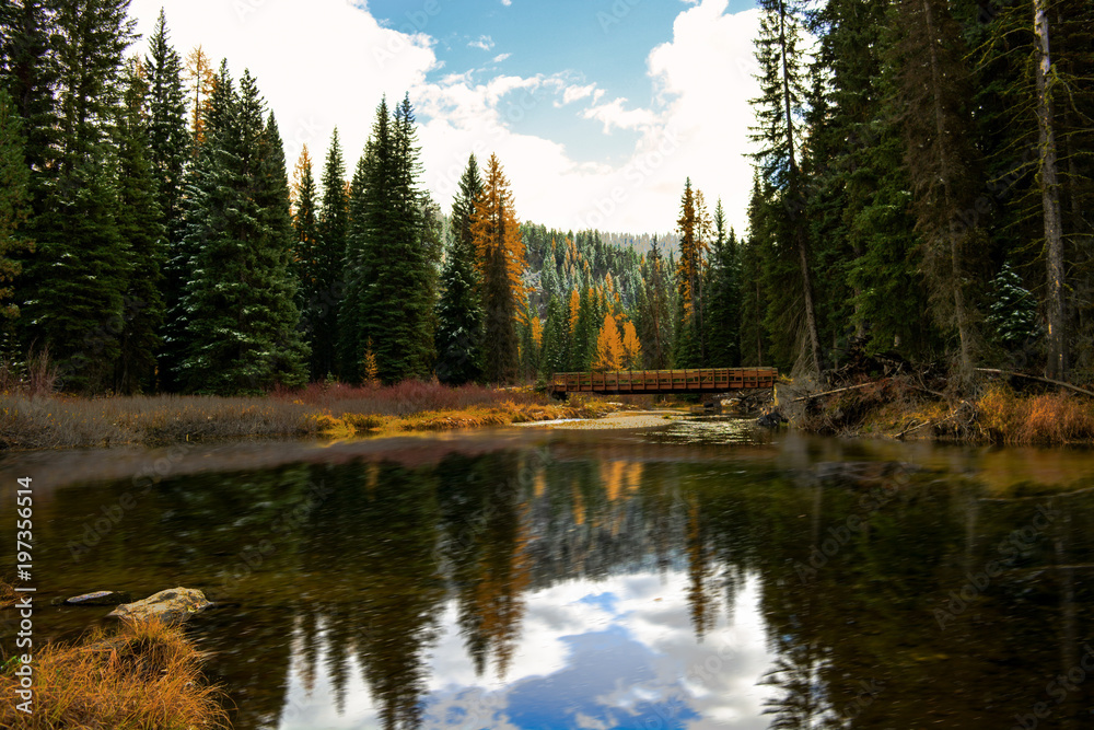 Obraz premium Fall landscape scene in McCall, Idaho