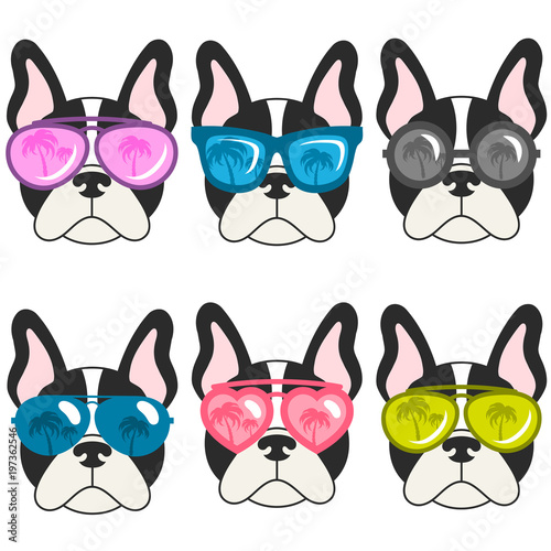 french bulldogs with sunglasses