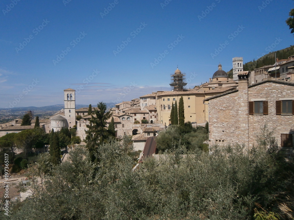 Gruppo di chiese tra case e alberi di Assisi